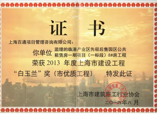 白玉兰奖-临港一期一标8#房