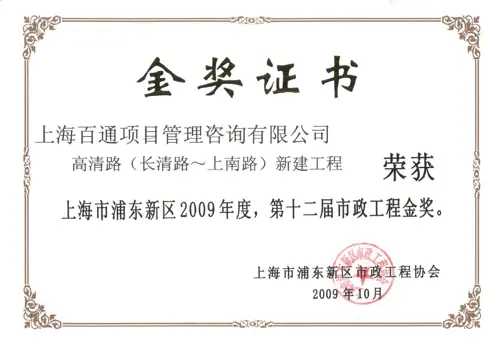 2009年度市政工程金奖-高清路（长清路-上南路）新建工程