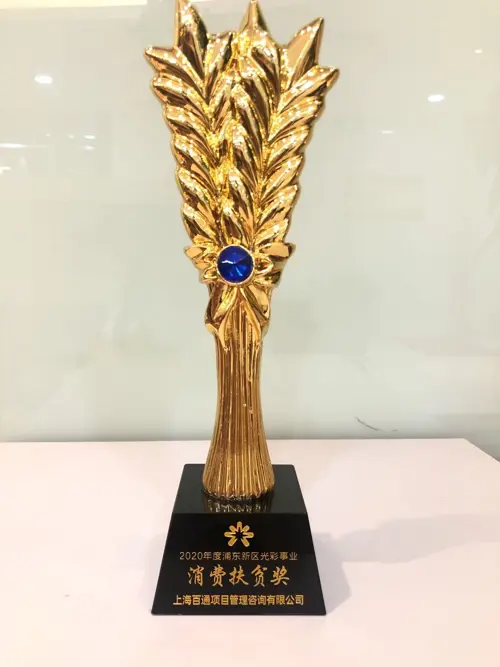 2020年度浦东新区光彩事业“消费扶贫奖”