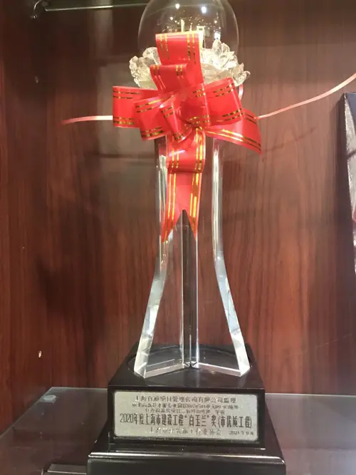 白玉兰”奖-市北高新技术服务业园区N070501单元09-03地块住办商品房项目建设监理工程10#楼