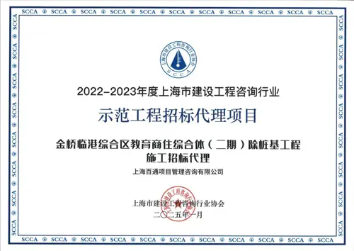 2022-2023年度示范工程招标代理项目《金桥临港综合区教育商住综合体（二期）除桩基工程施工招标代理》